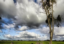 足球比赛中球员技艺展现引发惊叹